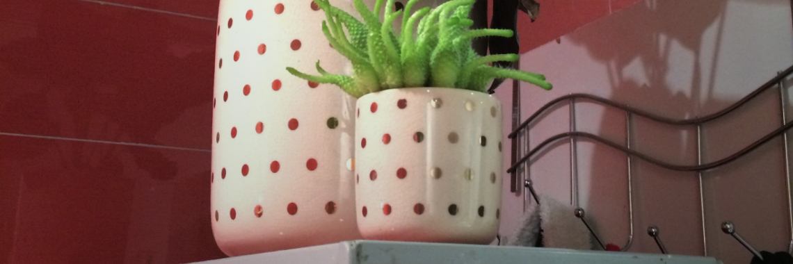 Gevaarlijk beest gespot... | Mevrouw Stip...