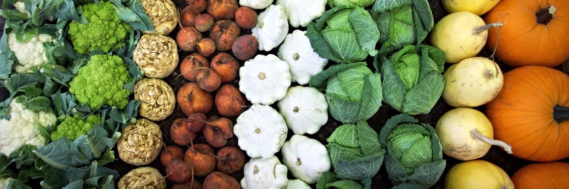 Herfstgroenten... een handig overzichtje... | Mevrouw Stip...