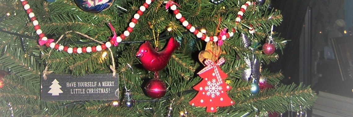 Hij staat weer te pronken... | Mevrouw Stip...