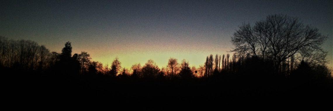 In de ban van een virus... Covid-19... | Mevrouw Stip...