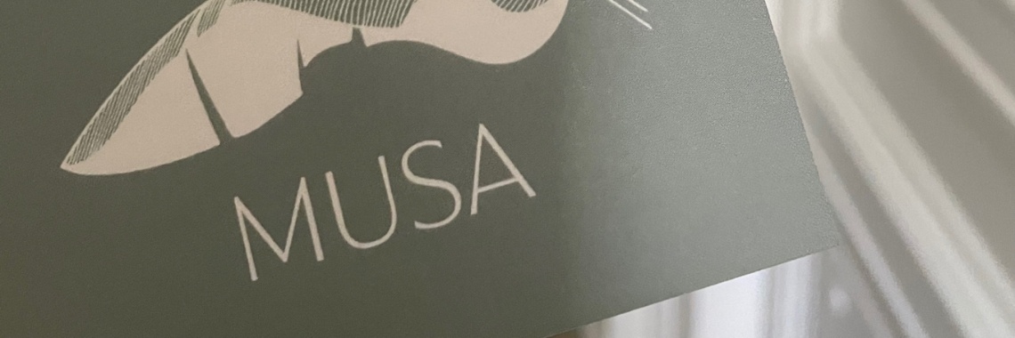 Throwback naar een tripje Antwerpen... | Mevrouw Stip...