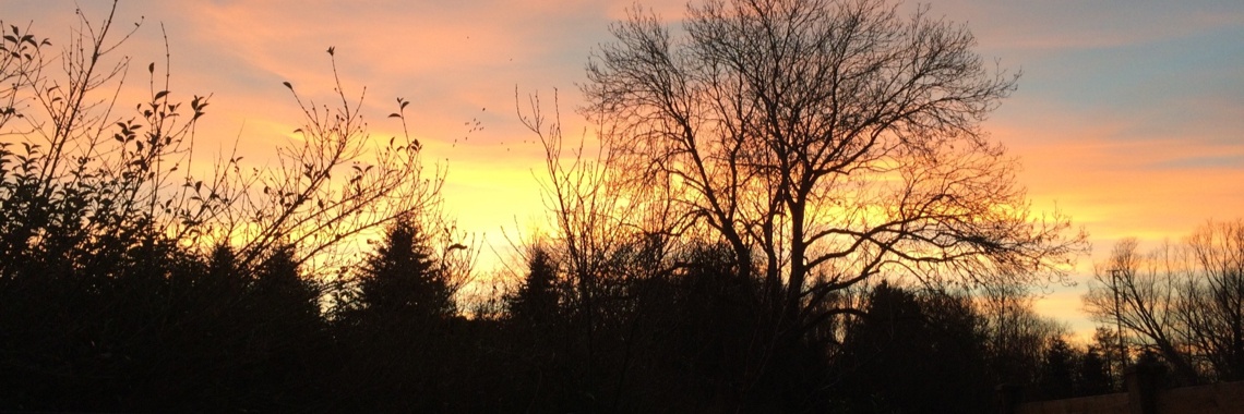 Tuinperikelen van Stip... Het begin... | Mevrouw Stip...