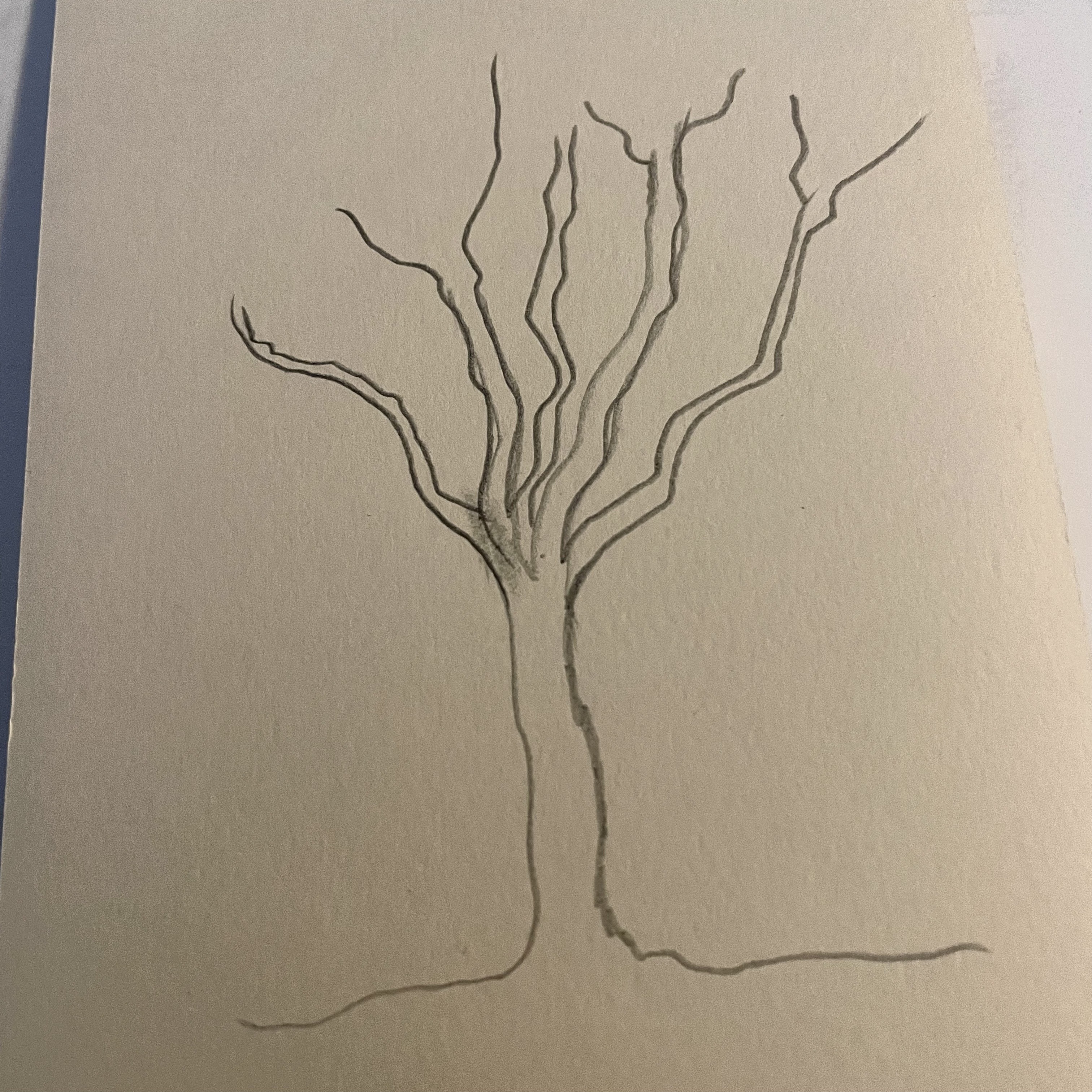 Draw a simple and elegant sketch of a tree with no background. The tree  should have a strong and solid trunk, with branches extending outward in a  balanced and organic manner. The