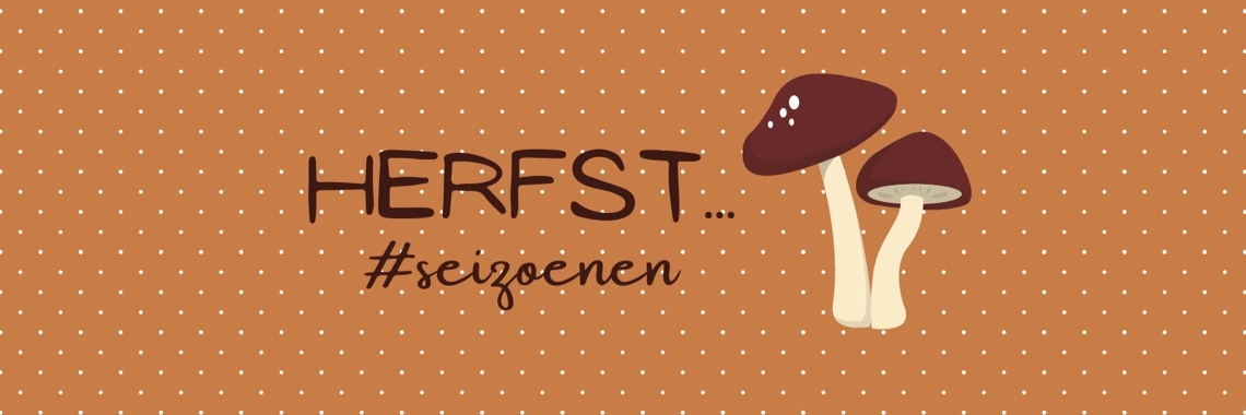 Shoot autumnal pictures... | Mevrouw Stip...