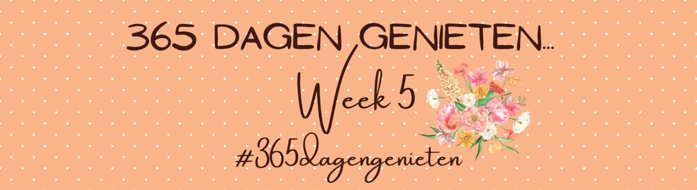 365 dagen genieten... Week 5... | Mevrouw Stip...