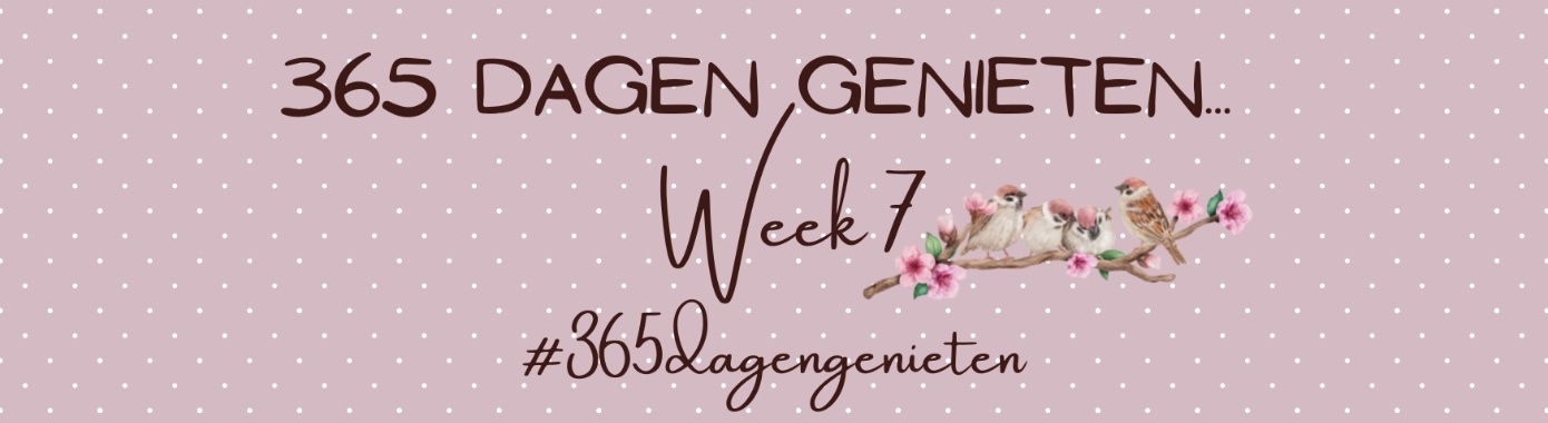 365 days of enjoyment... Week 7... | Mevrouw Stip...