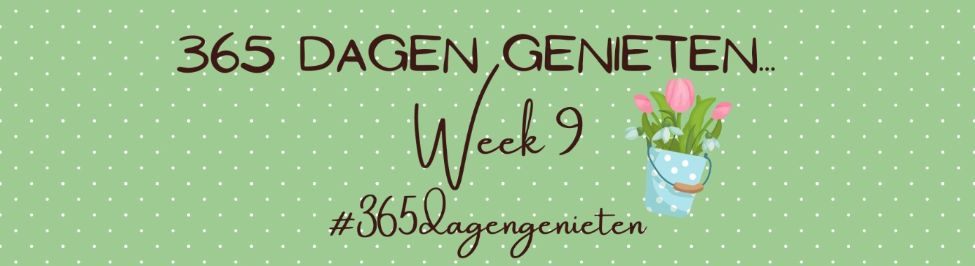 365 dagen genieten... Week 9... | Mevrouw Stip...