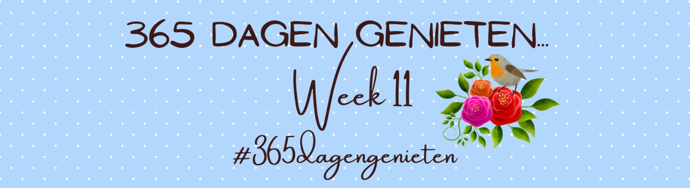 365 days of enjoyment... Week 11... | Mevrouw Stip...