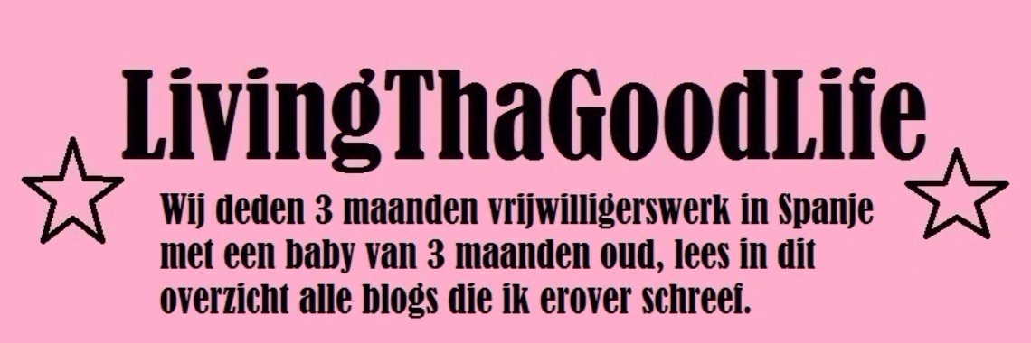 Mijn blogs over vrijwilligerswerk in Spanje | LivingThaGoodLife