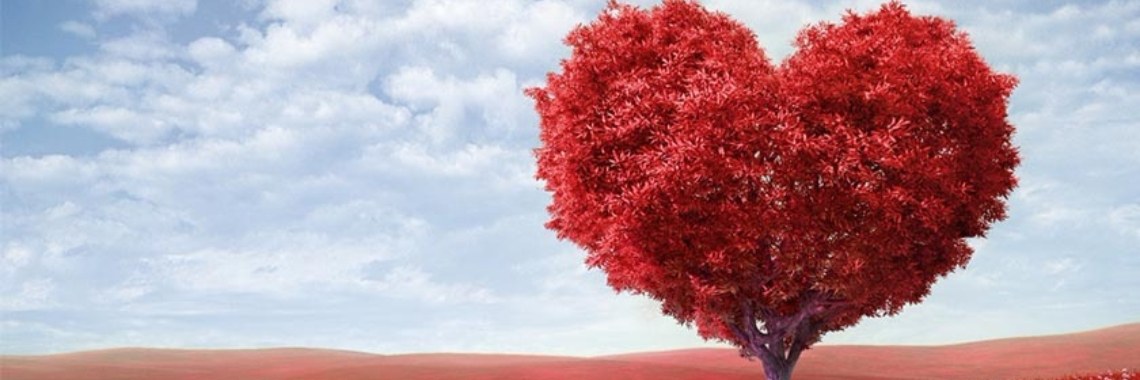 Valentijnsdag kado idee: doe iets origineels | LivingThaGoodLife