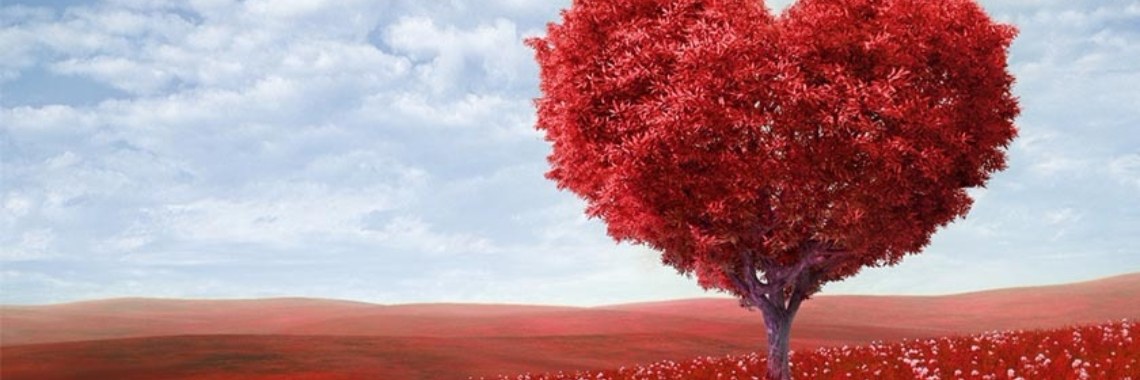 Valentijnsdag verhaal: Een verrassing op Valentijnsdag | LivingThaGoodLife