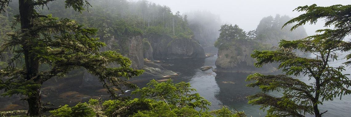 nood aan rust | Kristien Goeyvaerts