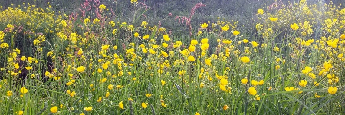 Beweging | Alice Huiberts