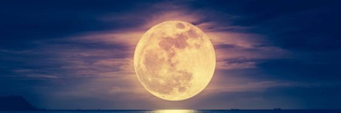 Poems and thoughts: without worries | Blondie74