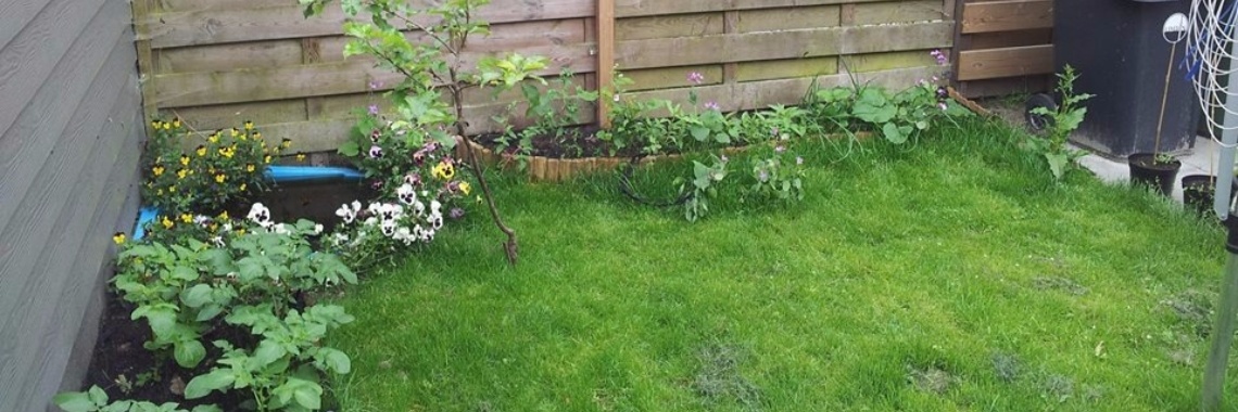 De makkelijke moestuin | Esther Klomp