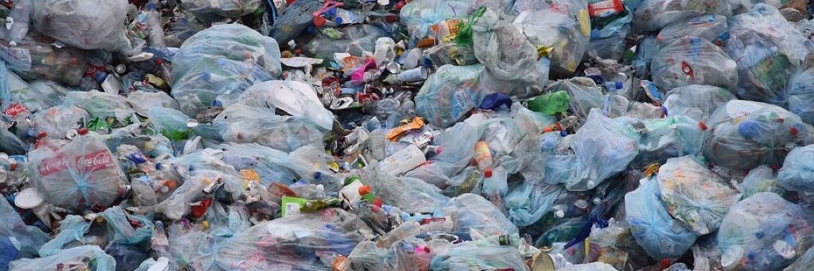Dieren en plastic | Schapenkopje