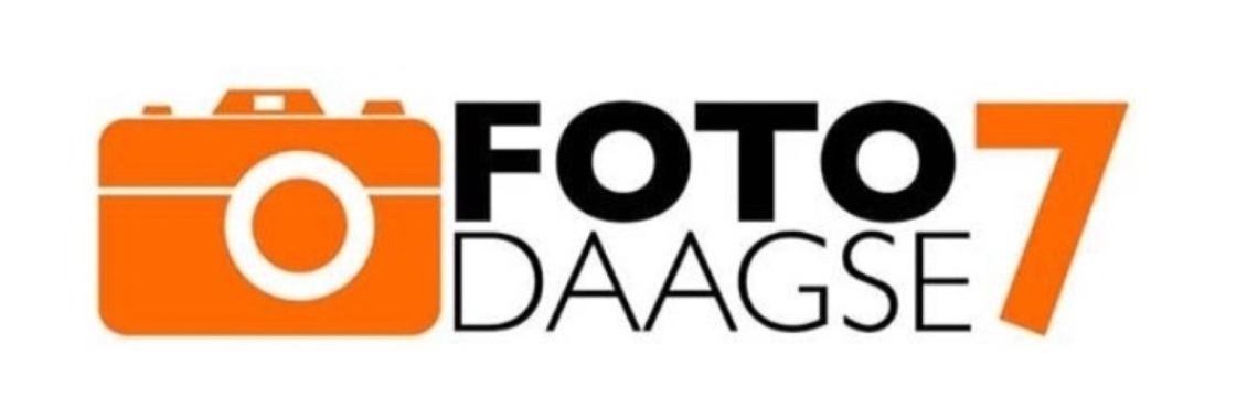 Opdracht 5 Van Zolder | Schapenkopje