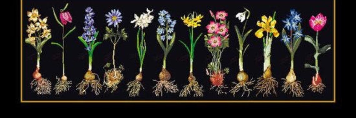 Top 10 Voorjaarsbloeiers | Schapenkopje