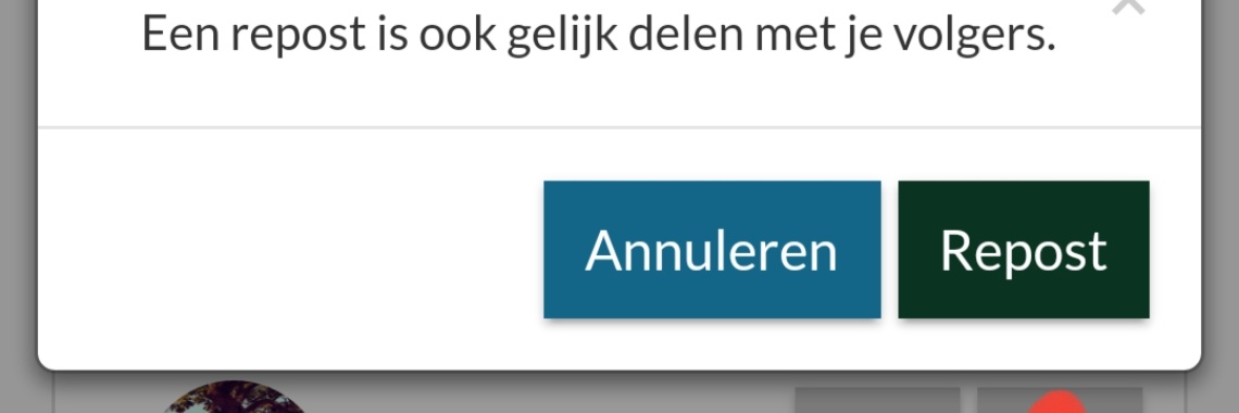 Hoe werkt dat reposten op Yoors | BellaBebé♡