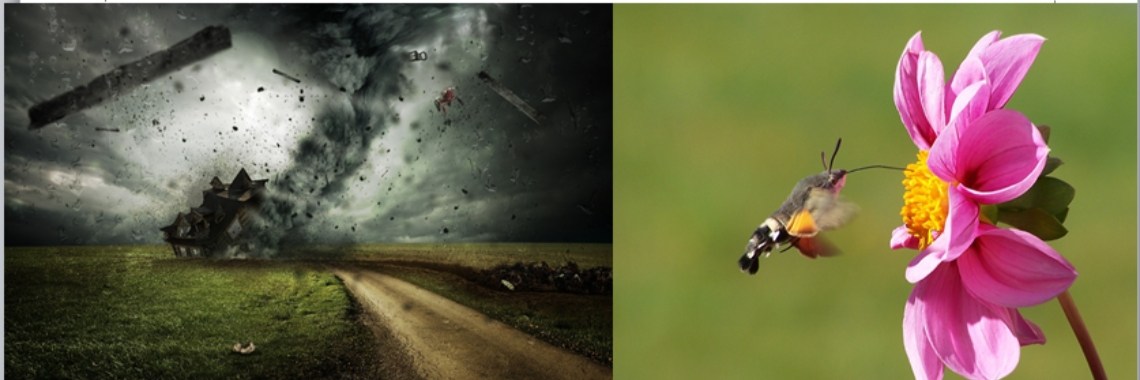 Hoe werkt het butterfly effect (weleens gedacht als dit dan?) | BellaBebé♡