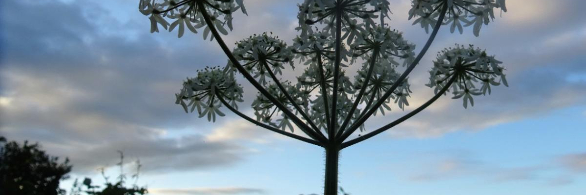 Circle of Life | Naturefreak