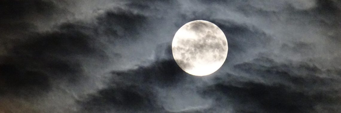 De dorstige maan | Naturefreak