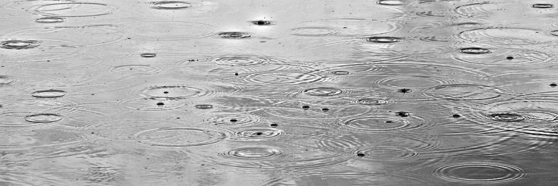 De eerste regen | Naturefreak