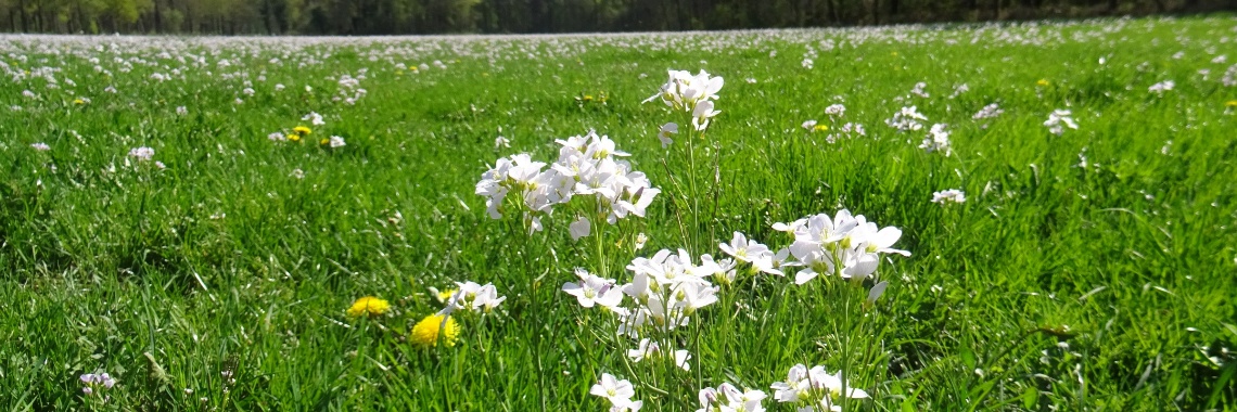 De natuur in beeld | Naturefreak