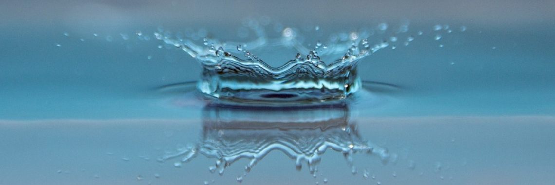 De rioolmeermin (10) | Naturefreak