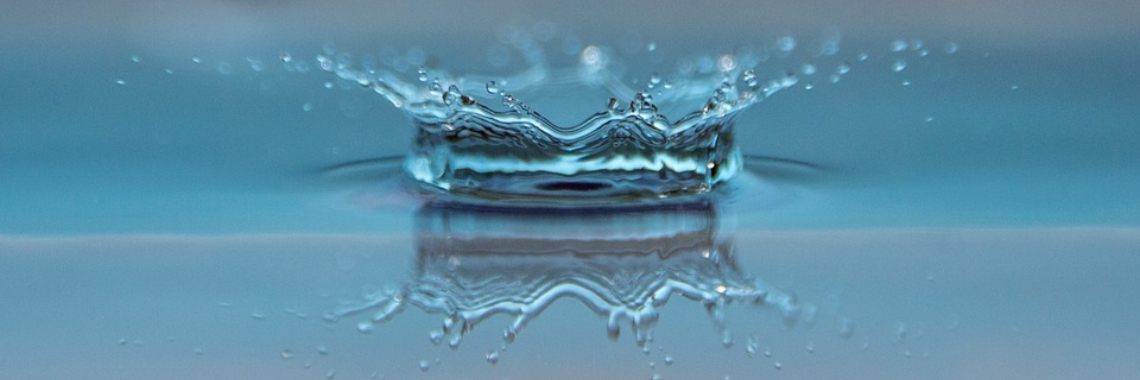 De rioolmeermin (11) | Naturefreak