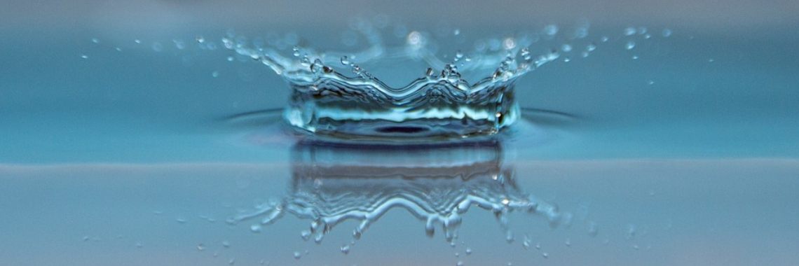 De rioolmeermin (13) | Naturefreak