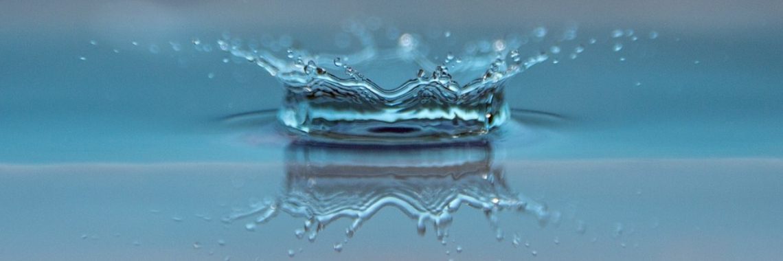 De rioolmeermin (14) | Naturefreak