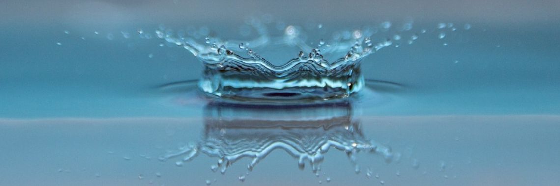 De rioolmeermin (15) | Naturefreak