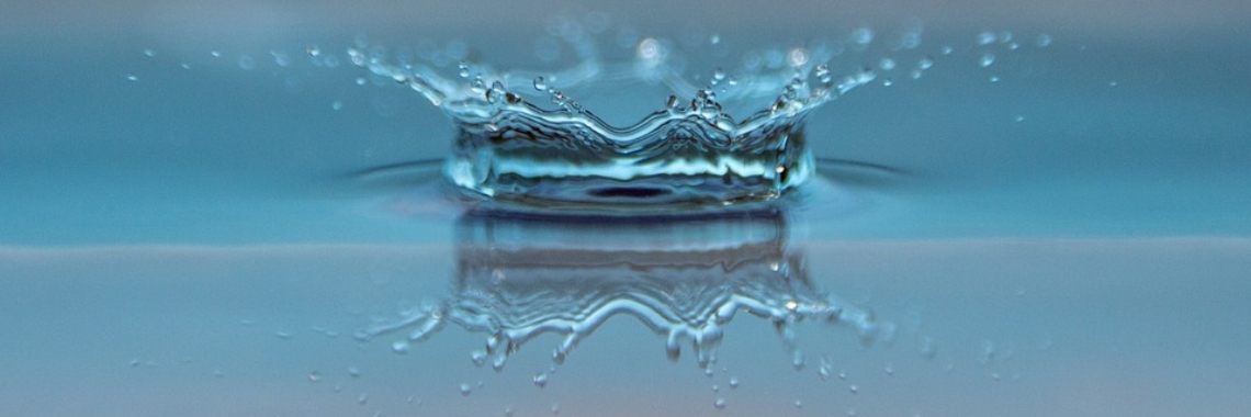 De rioolmeermin (16) | Naturefreak