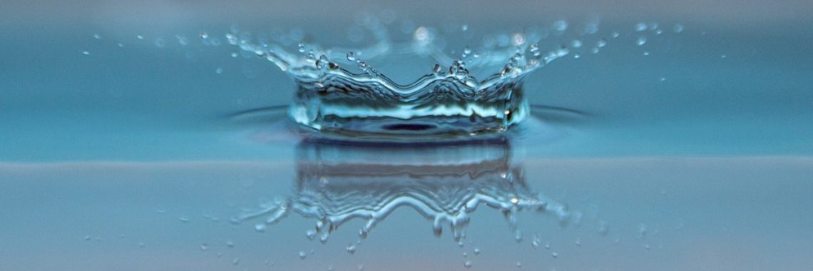 De rioolmeermin (4) | Naturefreak