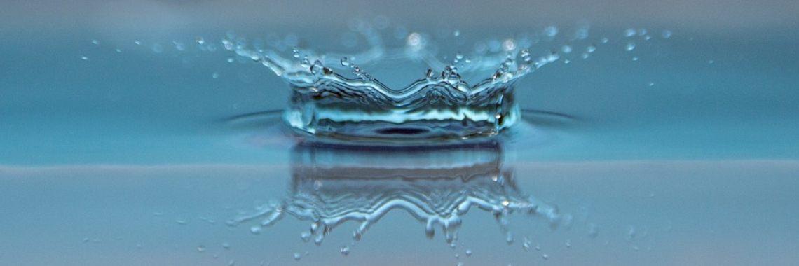 De rioolmeermin (6) | Naturefreak