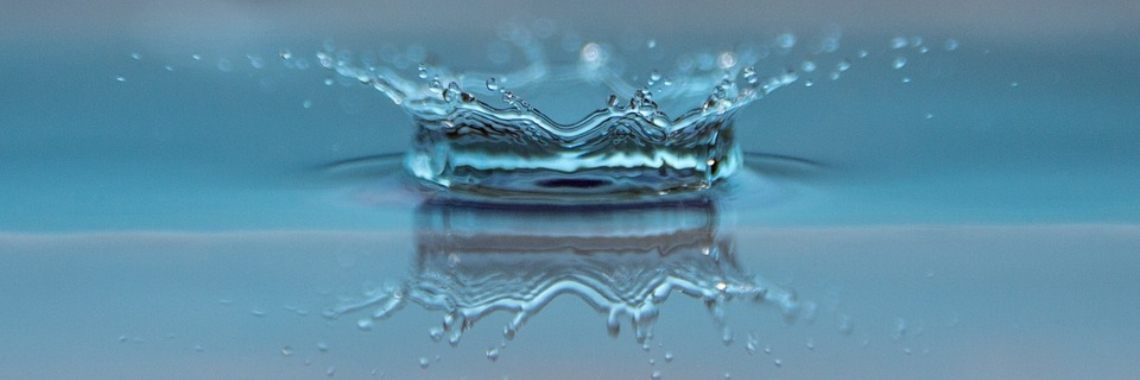 De rioolmeermin (8) | Naturefreak