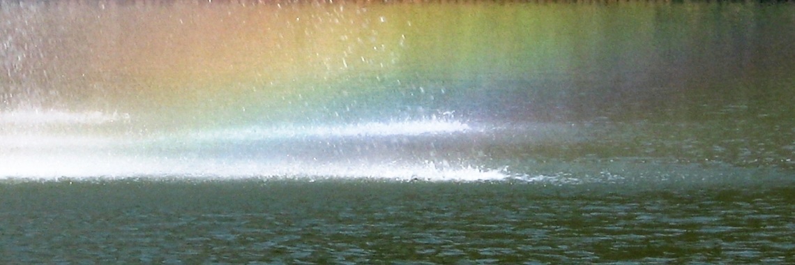 Een droom van een regenboog | Naturefreak