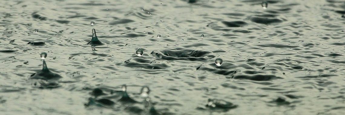 Het ritme van de regenpijp | Naturefreak