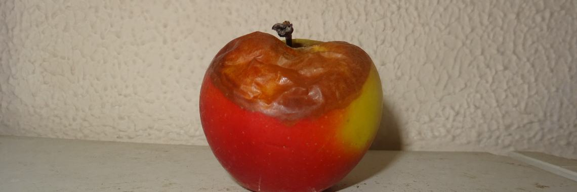 Interview met een rotte appel | Naturefreak