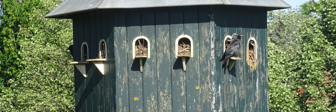 Nou lekker dan! | Naturefreak