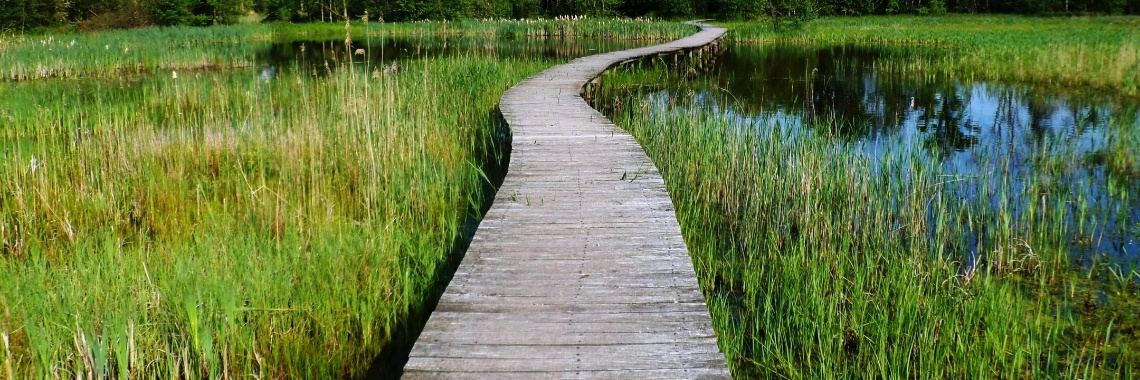 Omzien | Naturefreak