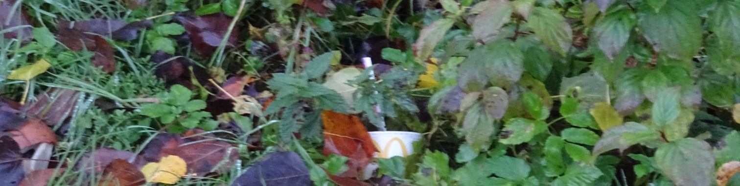 Onbegonnen werk | Naturefreak