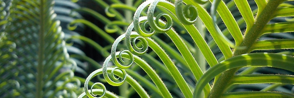 Op de vlucht | Naturefreak