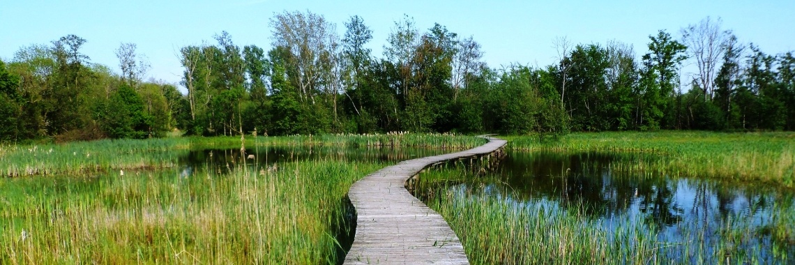 Proeve | Naturefreak