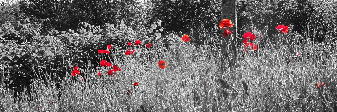 Tijdloos | Naturefreak