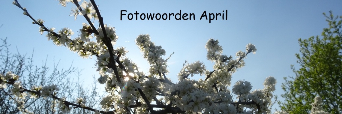 Uitdaging: Fotowoorden April 2019 | Naturefreak