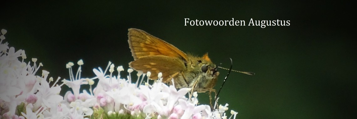 Uitdaging: Fotowoorden Augustus | Naturefreak
