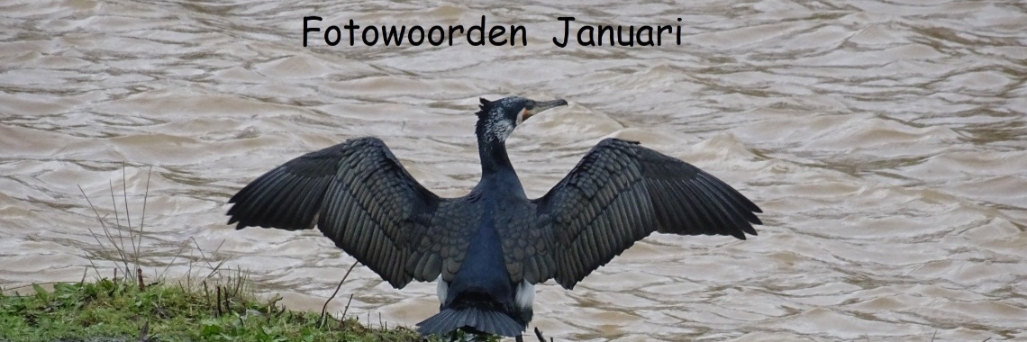 Uitdaging: Fotowoorden Januari 2019 | Naturefreak