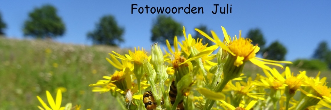 Uitdaging: Fotowoorden Juli 2019 | Naturefreak